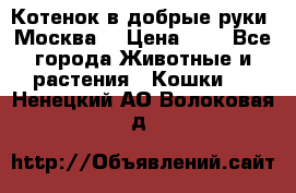 Котенок в добрые руки. Москва. › Цена ­ 5 - Все города Животные и растения » Кошки   . Ненецкий АО,Волоковая д.